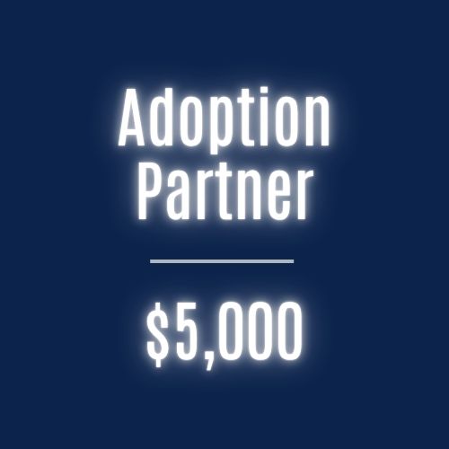 Adoption Partner
